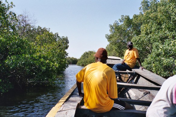 Mangroves Isle de Karon